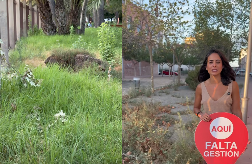 El PSOE denuncia la dejadez del gobierno del PP en el mantenimiento de parques y jardines del municipio